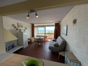 Appartement 2 pièces face plage avec loggia, parking sécurisé et Wifi - Saint-Cyprien - FR-1-106-46